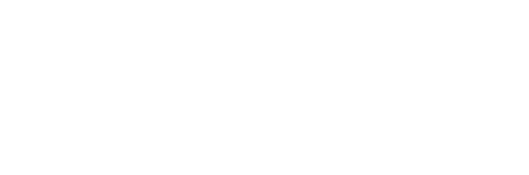 第一技研 D GIKEN